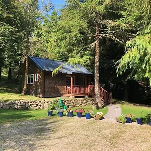  Lodge Willow Ireland