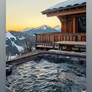Avec Jacuzzi - 100 M Des Remontées Chalet Morzine